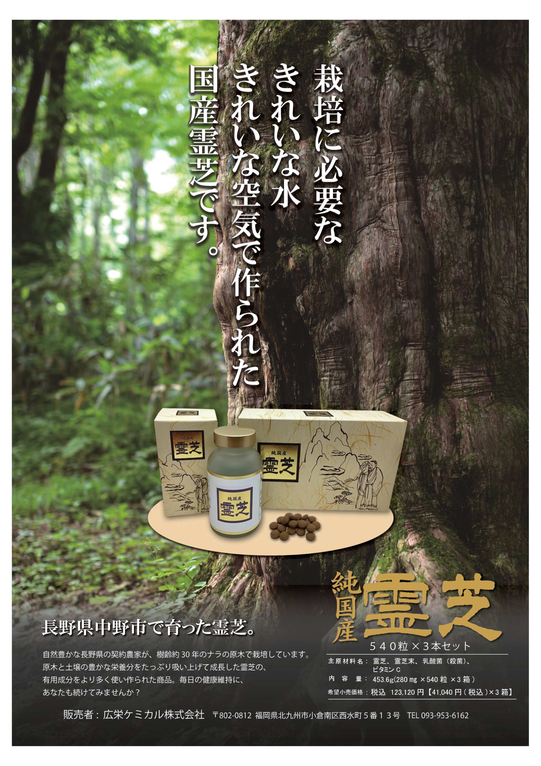 霊芝 値段